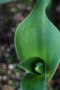 050