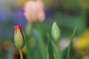 040