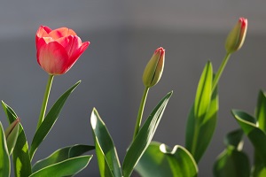 090