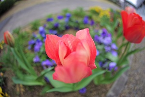 040