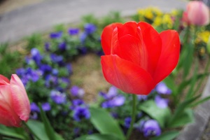 060