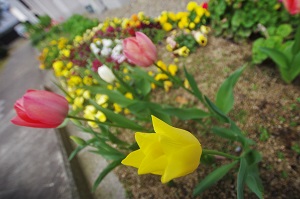 040