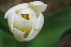 070
