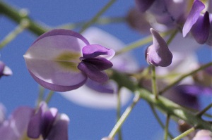 140