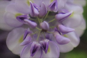 910
