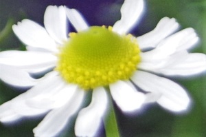 950