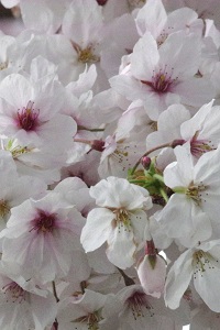 085