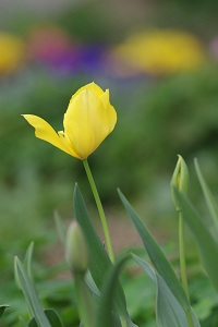 025