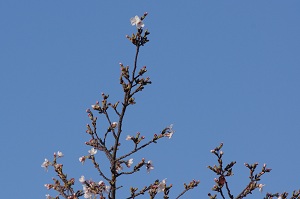 060