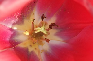 040