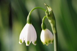 080