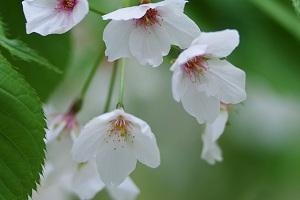 150