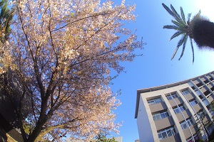 070