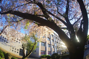 080