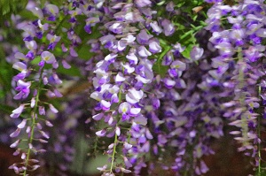 020