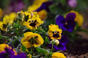 040