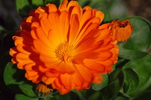 070