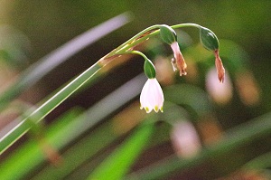 080