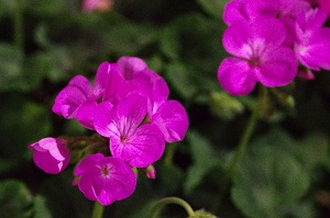 090