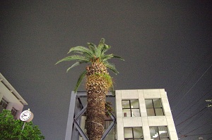 020