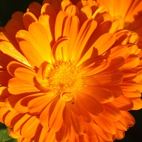 040