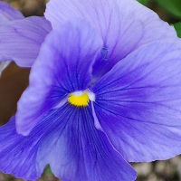 080