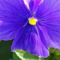 090