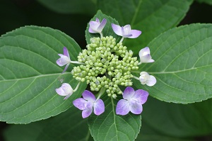 160