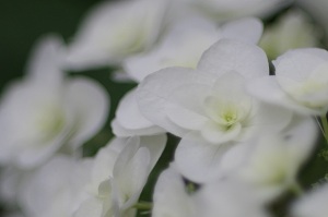 230