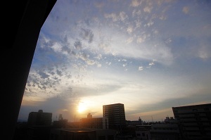 020