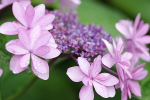 200