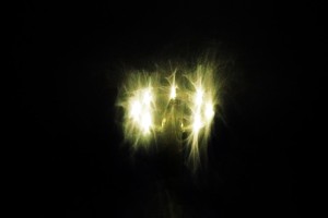 010