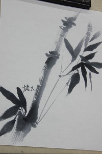 310