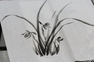 050