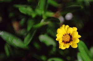 080