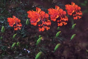 040