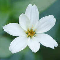 020