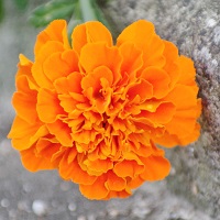 040