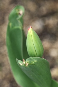 070
