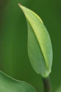 090