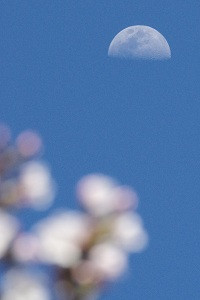 040