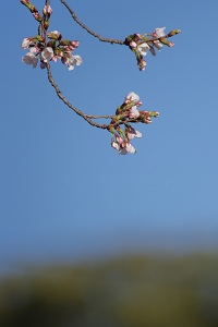 050