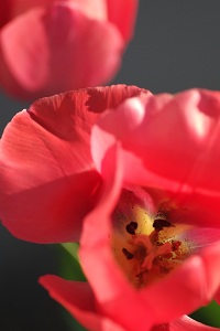 090