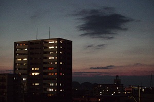 010