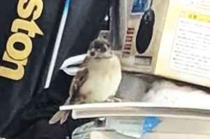 904