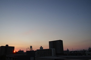 010