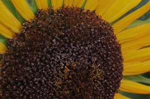 210