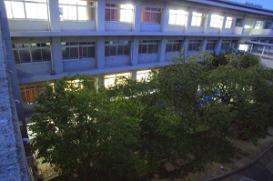 010